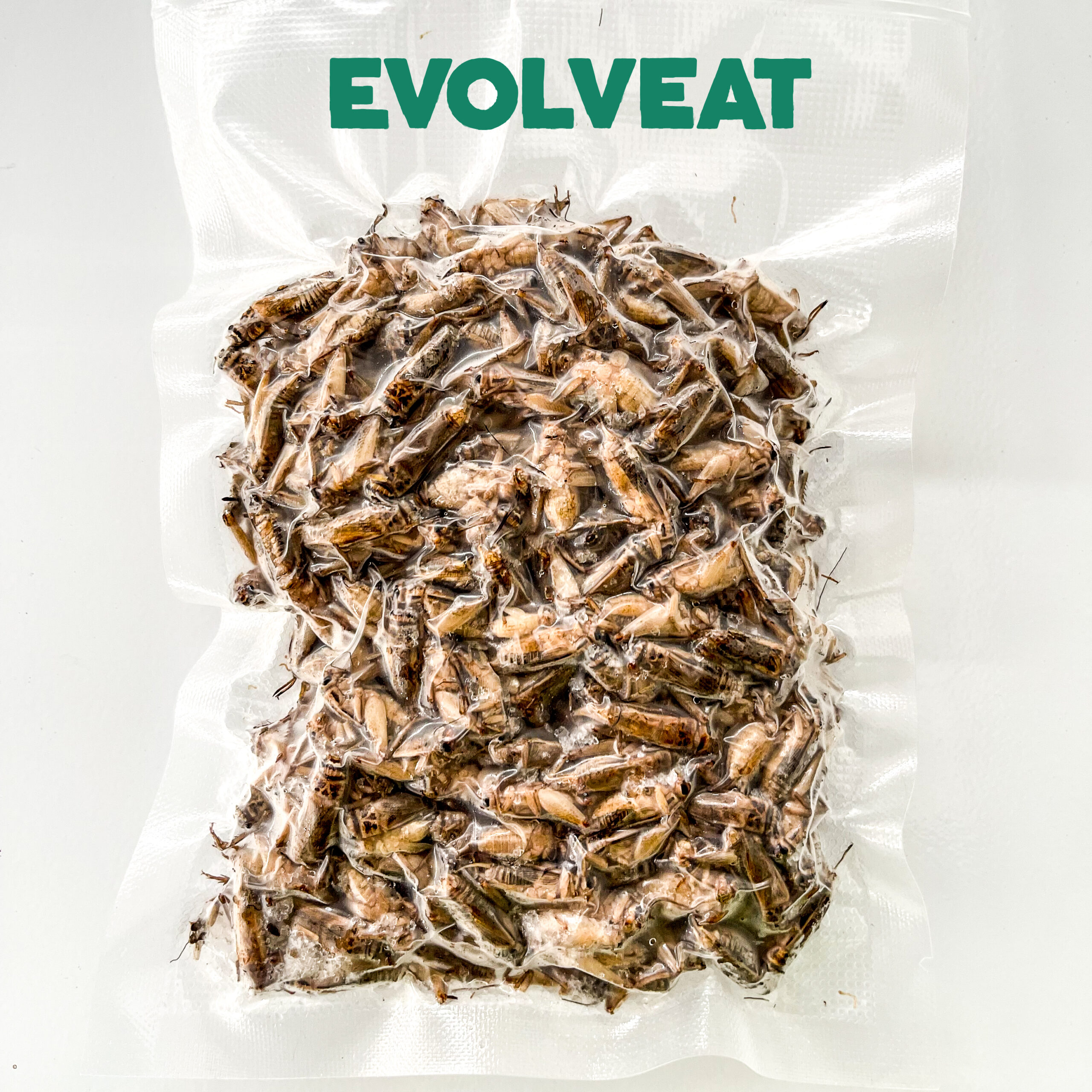 Grilli congelati subadulti